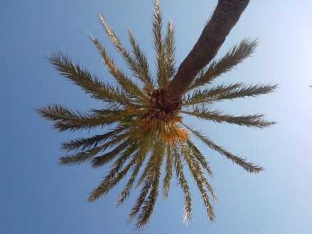 20170608_174857