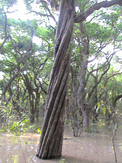 DSC00949