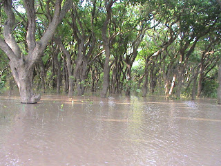 DSC00958