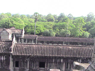 DSC01116