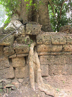 DSC01227